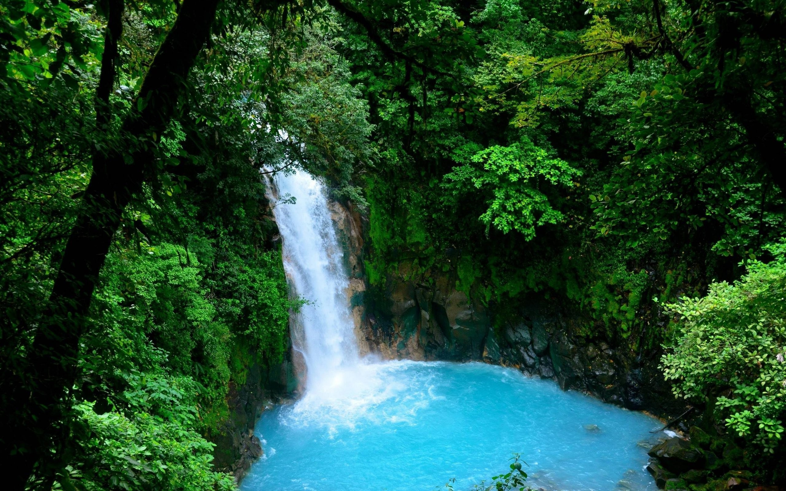 waterfall, Trees, Nature, Water Wallpaper