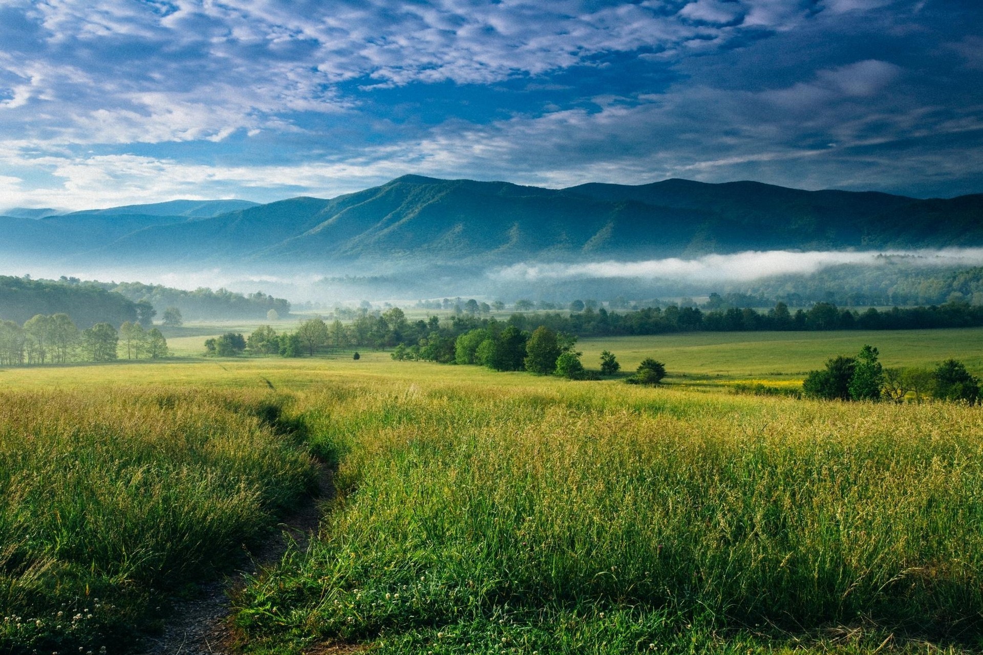 nature, Landscape, Mountain, Sunrise, Mist, Valley, Trees, Clouds, North Carolina Wallpaper