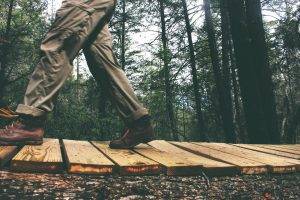 people, Walking, Wood, Nature, Forest, Trees, Pants, Shoes, Fall