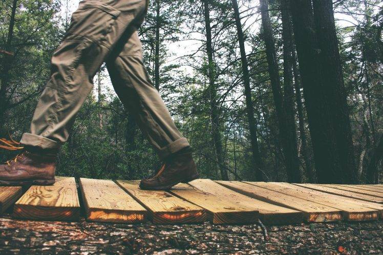 people, Walking, Wood, Nature, Forest, Trees, Pants, Shoes, Fall HD Wallpaper Desktop Background