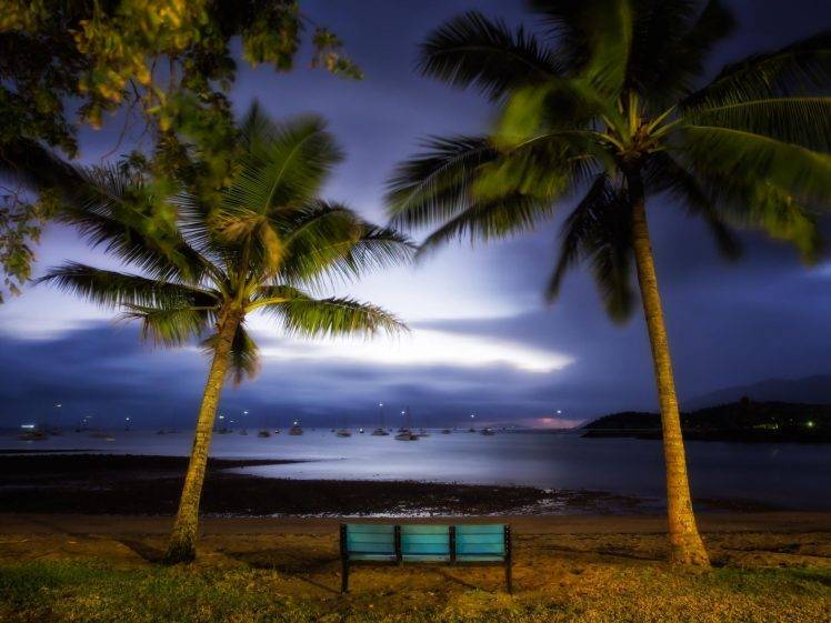 landscape, Nature, Harbor, Palm Trees, Bench, Evening, Sailing Ship, Lights, Coast, Hill, Sea, Australia HD Wallpaper Desktop Background