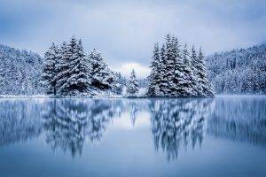 landscape, Nature, Lake, Forest, Hill, Overcast, Reflection, Winter, Cold, Snow, Pine Trees, Calm