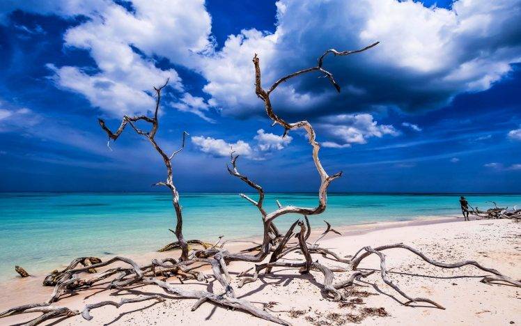 landscape, Nature, Beach, Sand, Tropical, Sea, Sky, Turquoise, Caribbean, Water, Clouds, Dead Trees, Cuba HD Wallpaper Desktop Background