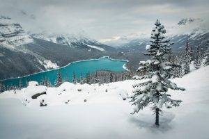 landscape, Nature, Winter, Lake, Snow, Mountain, Forest, Turquoise, Water, Banff National Park, Canada