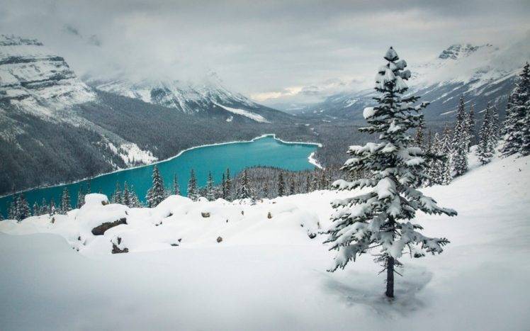 landscape, Nature, Winter, Lake, Snow, Mountain, Forest, Turquoise, Water, Banff National Park, Canada HD Wallpaper Desktop Background