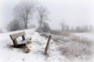 winter, Bench, Snow, Trees, Seasons, Landscape