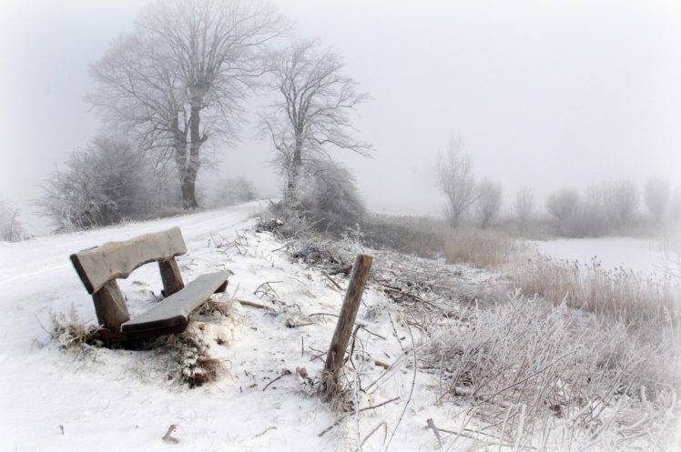 winter, Bench, Snow, Trees, Seasons, Landscape HD Wallpaper Desktop Background