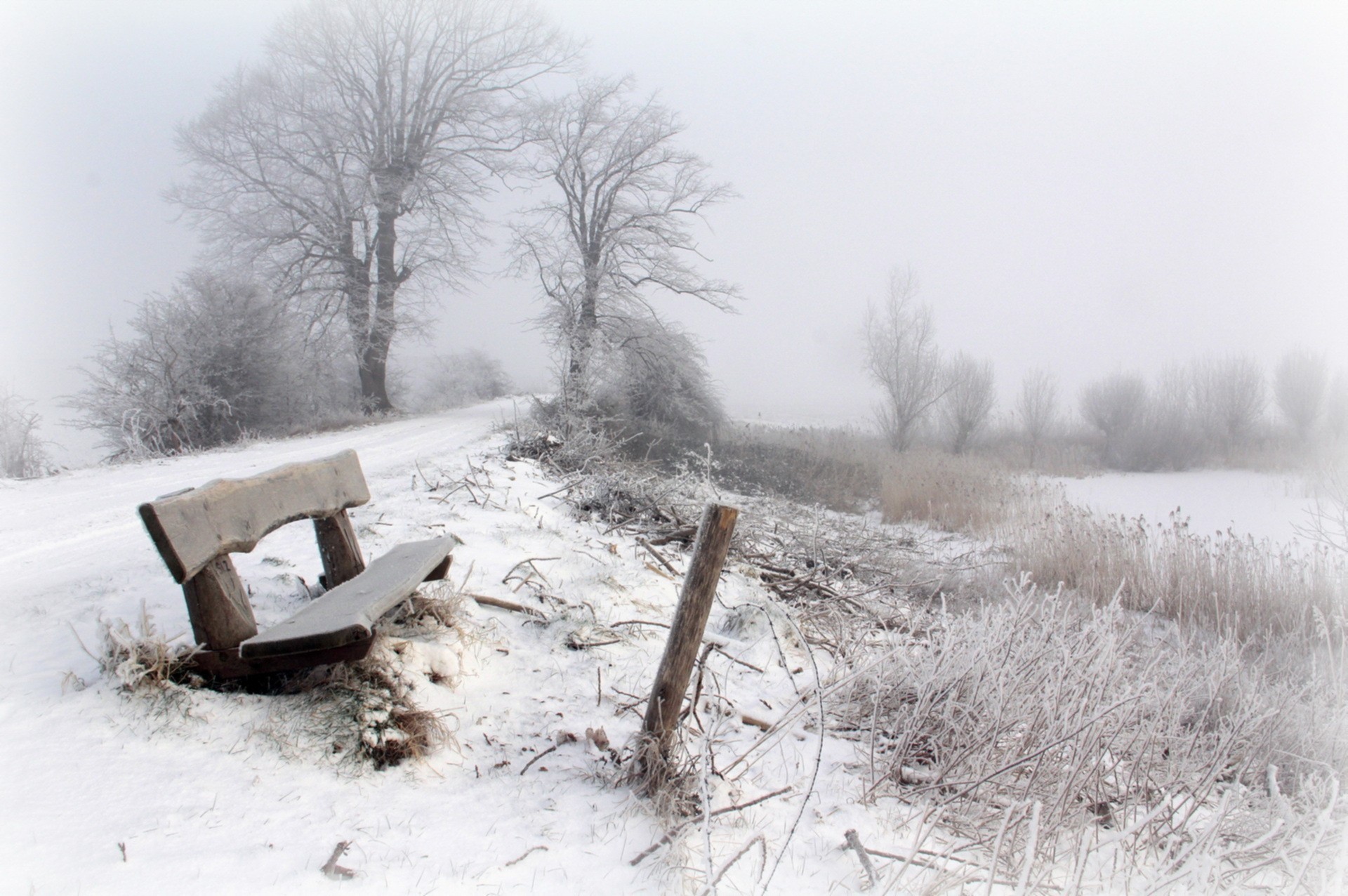 winter, Bench, Snow, Trees, Seasons, Landscape Wallpaper