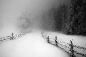 landscape, Nature, Winter, Morning, Snow, Forest, Fence, Cold, Monochrome, Road, Path, Trees, Daylight, Mist