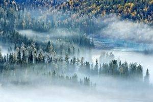 landscape, Nature, Mist, River, Forest, Fall, Morning, Trees, Sunlight, China