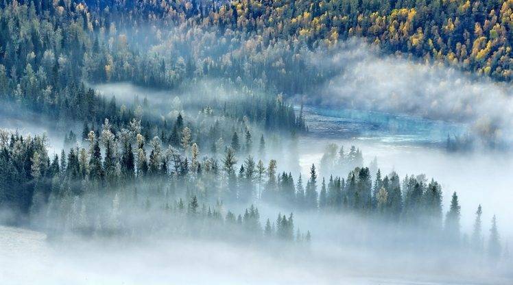 landscape, Nature, Mist, River, Forest, Fall, Morning, Trees, Sunlight, China HD Wallpaper Desktop Background
