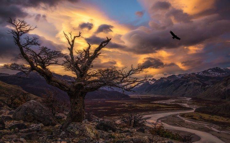nature, Landscape, Trees, Condors, Birds, Sunset, River, Valley, Mountains, Sunlight, Clouds, Patagonia, Argentina HD Wallpaper Desktop Background