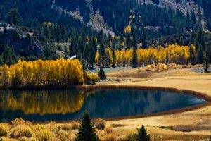 nature, Lake, Reflection, Trees, Colorful, Landscape