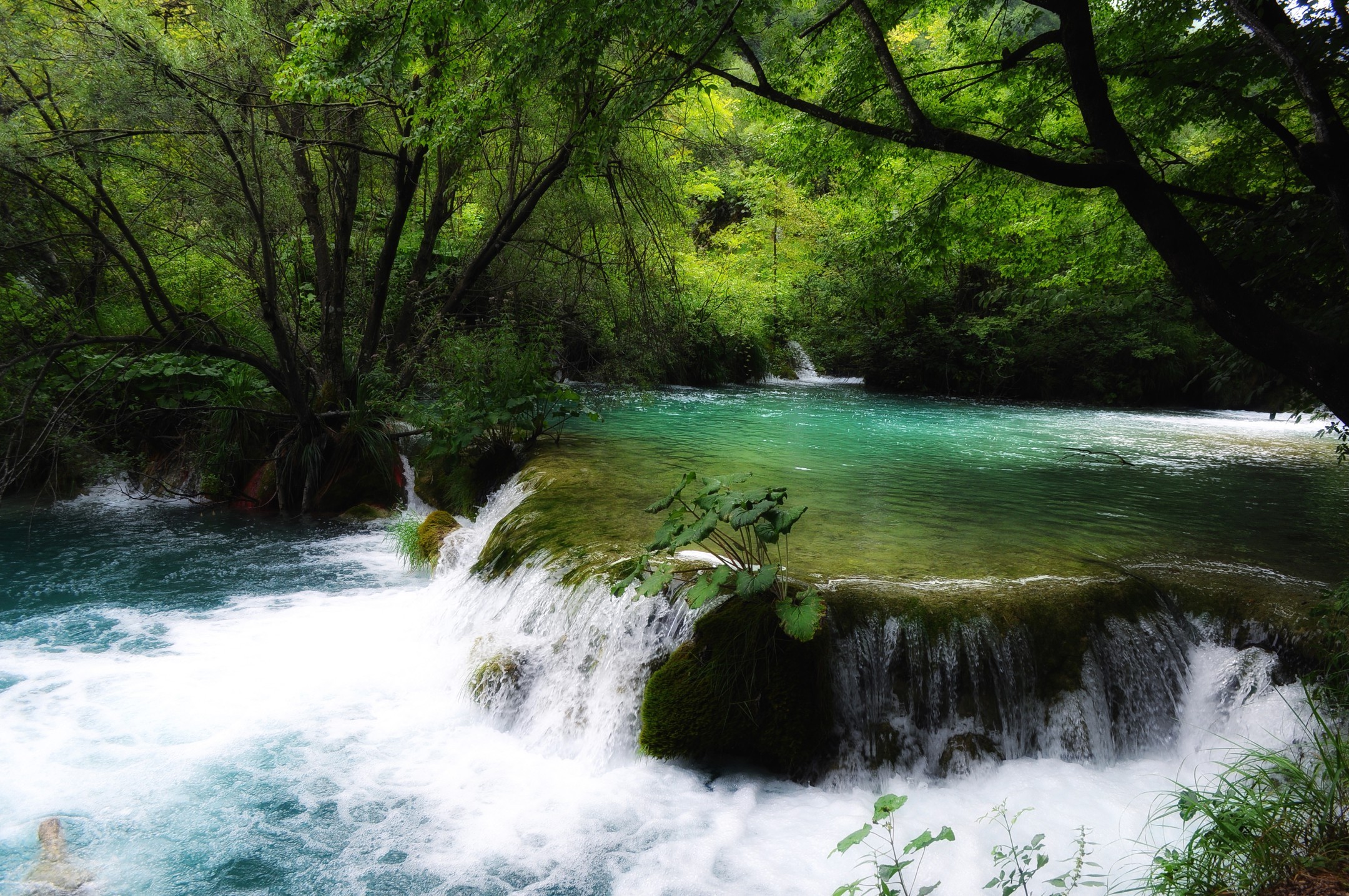 Croatia, Waterfall, Water, River, Nature, Plitvice National Park Wallpaper