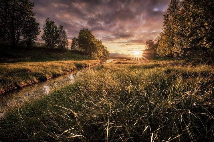 landscape, Nature, Summer, Midnight, Sun Rays, Trees, Grass, Sunset, Sky, Clouds, River, Norway HD Wallpaper Desktop Background