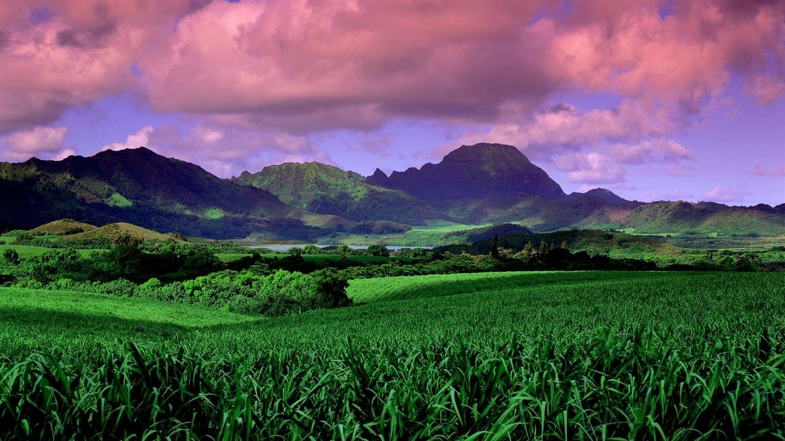 nature, Landscape, Field, Green, Mountains, Clouds, Sunset, Daylight, Trees, Hawaii Wallpaper