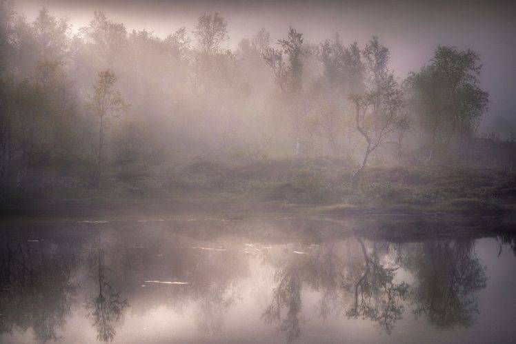 nature, Landscape, Mist, Lake, Sunrise, Forest, Water, Reflection, Trees HD Wallpaper Desktop Background