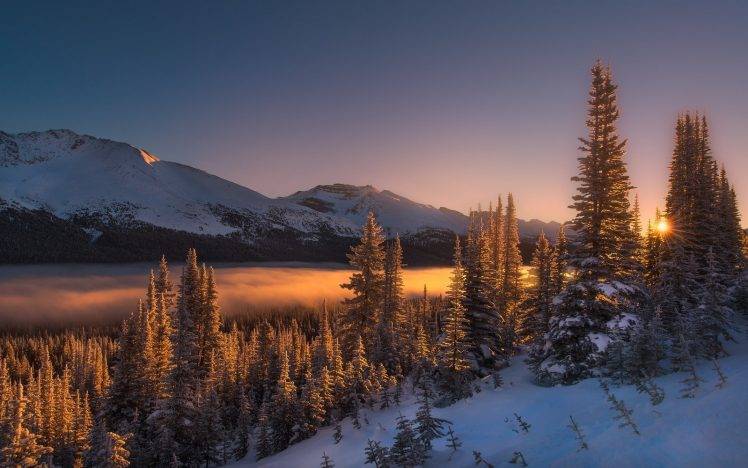 nature, Landscape, Winter, Sunrise, Mist, Mountains, Forest, Snow, Trees, Morning, Sunlight, Cold HD Wallpaper Desktop Background