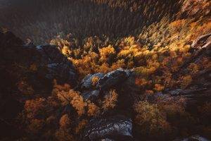 landscape, Nature, Trees, Aerial View, Forest, Fall, Switzerland, Saxony
