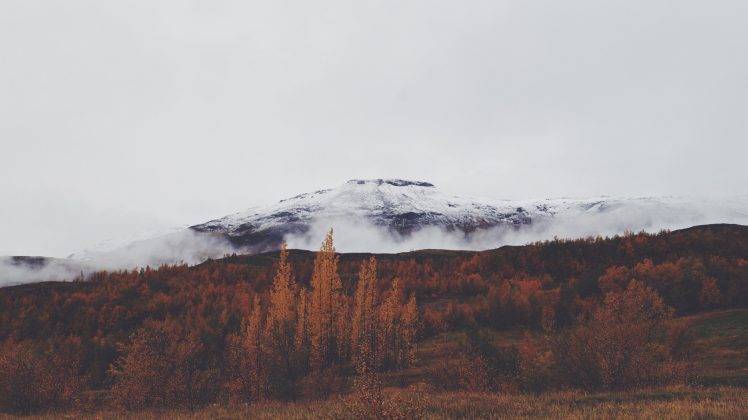 landscape, Mountains, Forest, Clouds HD Wallpaper Desktop Background