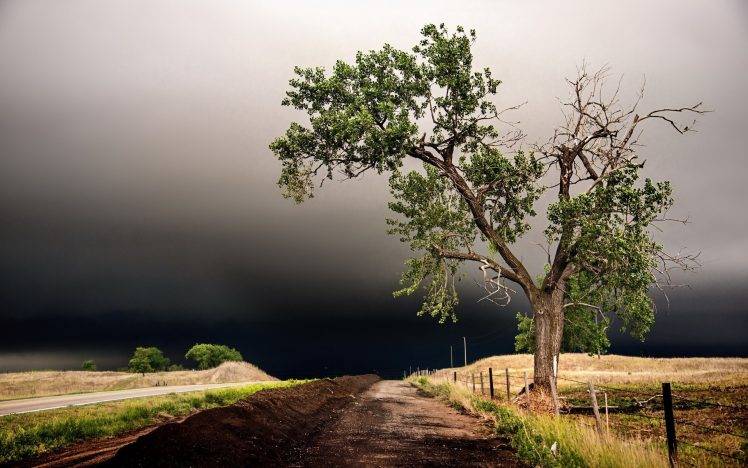 clouds, Trees, Road, Landscape HD Wallpaper Desktop Background