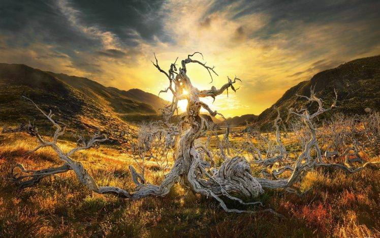 sunlight, Landscape, Nature HD Wallpaper Desktop Background