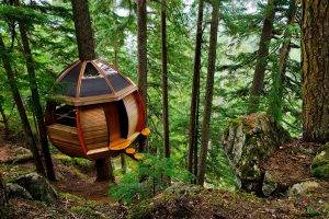 architecture, House, Nature, Trees, Branch, Forest, Wood, Sphere, Rock, Stones, Moss, Dirt Road, Environment, Treehouse