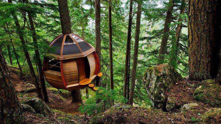 architecture, House, Nature, Trees, Branch, Forest, Wood, Sphere, Rock, Stones, Moss, Dirt Road, Environment, Treehouse HD Wallpaper Desktop Background
