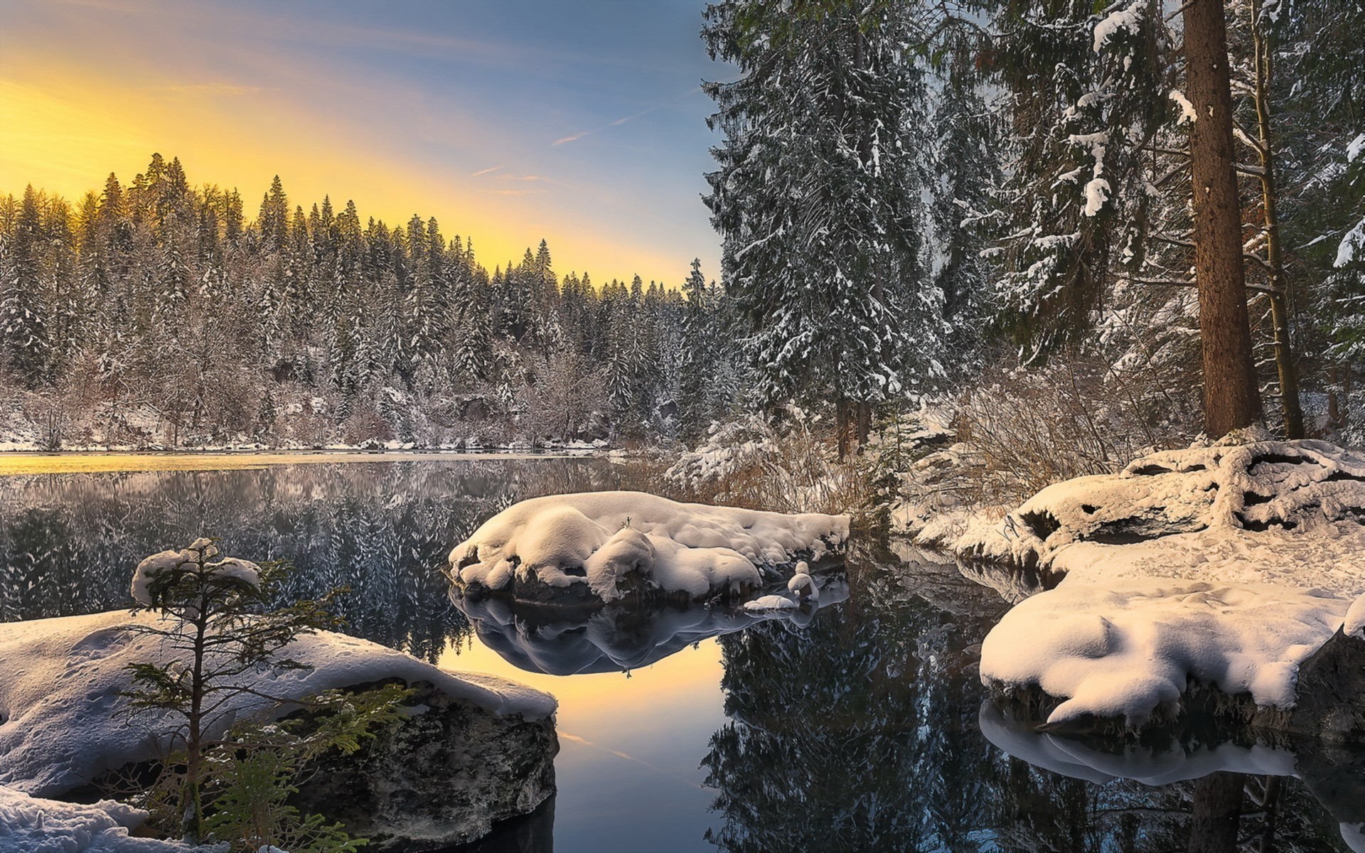 trees, Landscape Wallpaper