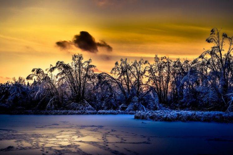 sunlight, Winter, Landscape, Nature HD Wallpaper Desktop Background