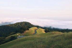 nature, Landscape, Trees, Clouds, Forest, Road, Hills, Grass, Field