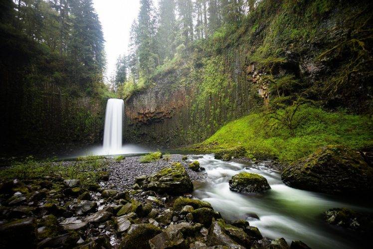 nature, Waterfall, Rock, Moss, Forest, Landscape, Rock Formation, Oregon HD Wallpaper Desktop Background