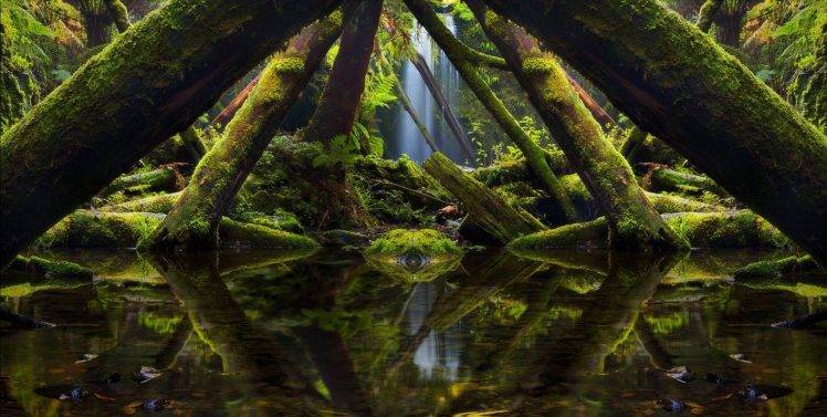 landscape, Nature, Photography, Mirrored, Moss, Trees, Ferns, Green, Rainforest, Reflection, Australia HD Wallpaper Desktop Background