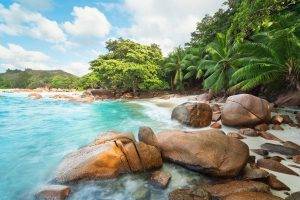 photography, Landscape, Nature, Beach, Island, Palm Trees, Turquoise, Sea, Rock, Eden, Seychelles, Tropical, Summer