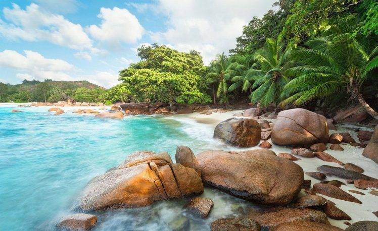 photography, Landscape, Nature, Beach, Island, Palm Trees, Turquoise, Sea, Rock, Eden, Seychelles, Tropical, Summer HD Wallpaper Desktop Background