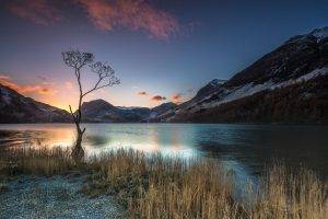 photography, Landscape, Nature, Trees, Lake, Sunrise, Calm, Mountains, Dry Grass, UK