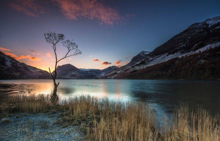 photography, Landscape, Nature, Trees, Lake, Sunrise, Calm, Mountains, Dry Grass, UK HD Wallpaper Desktop Background