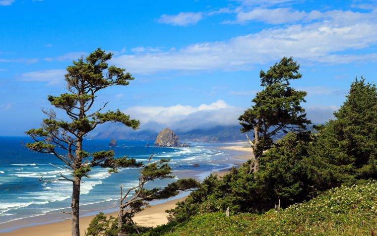 landscape, Nature, Photography, Morning, Beach, Sea, Sand, Trees, Hills, Shrubs, Oregon HD Wallpaper Desktop Background
