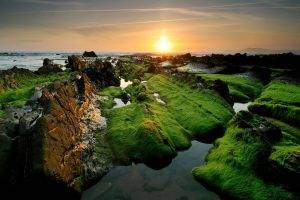 nature, Sea, Sunset, Grass, Stones