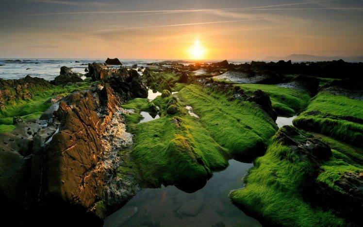 nature, Sea, Sunset, Grass, Stones HD Wallpaper Desktop Background