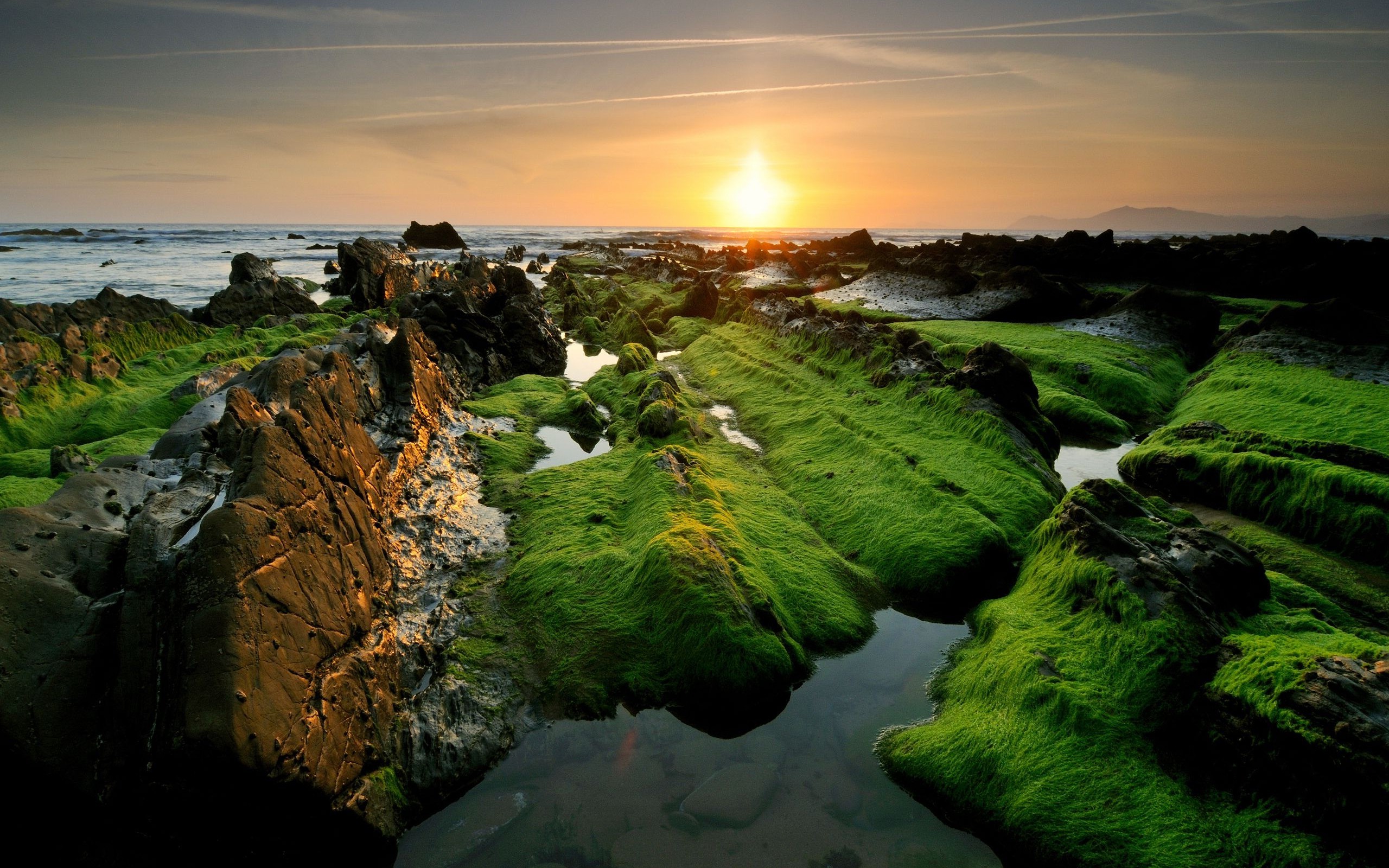 nature, Sea, Sunset, Grass, Stones Wallpaper