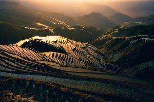 landscape, Nature, Sunrise, Field, Rice Paddy, Mist, Hills, Sunlight, Terraces, China
