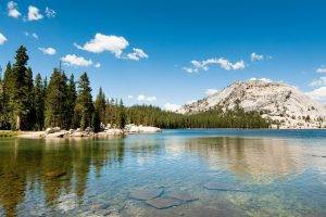 landscape, Nature, Lake, Hills, Forest, Pine Trees, Yosemite National Park, California
