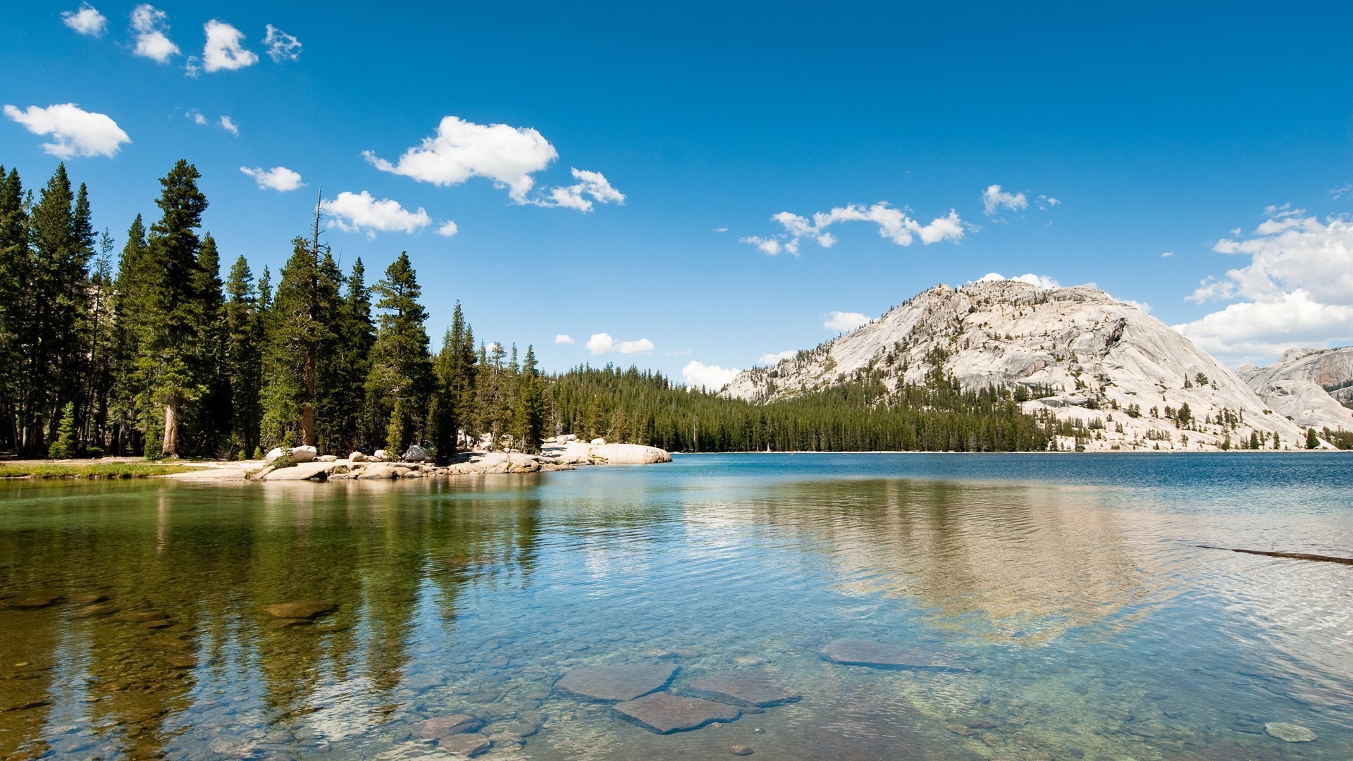 landscape, Nature, Lake, Hills, Forest, Pine Trees, Yosemite National Park, California Wallpaper