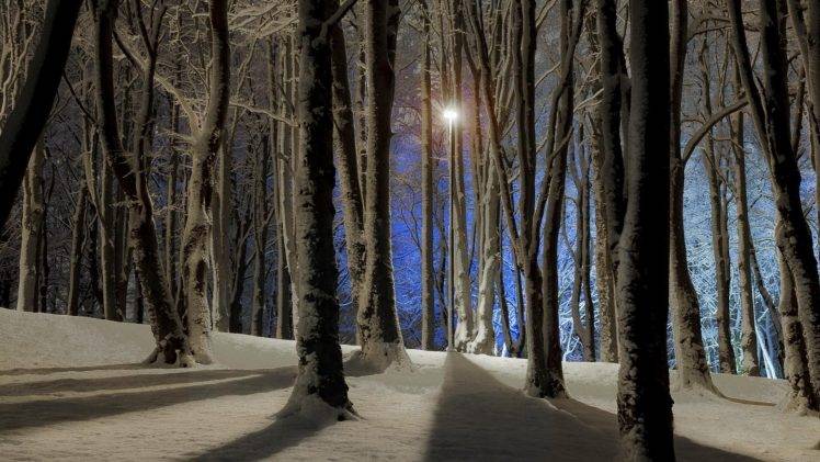 nature, Trees, Forest, Branch, Wood, Winter, Snow, Sun, Shadow, Hills HD Wallpaper Desktop Background