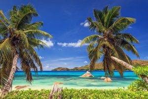 nature, Landscape, Tropical, Beach, Island, Palm Trees, Sea, Summer, Seychelles