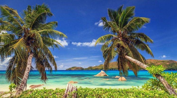 nature, Landscape, Tropical, Beach, Island, Palm Trees, Sea, Summer, Seychelles HD Wallpaper Desktop Background