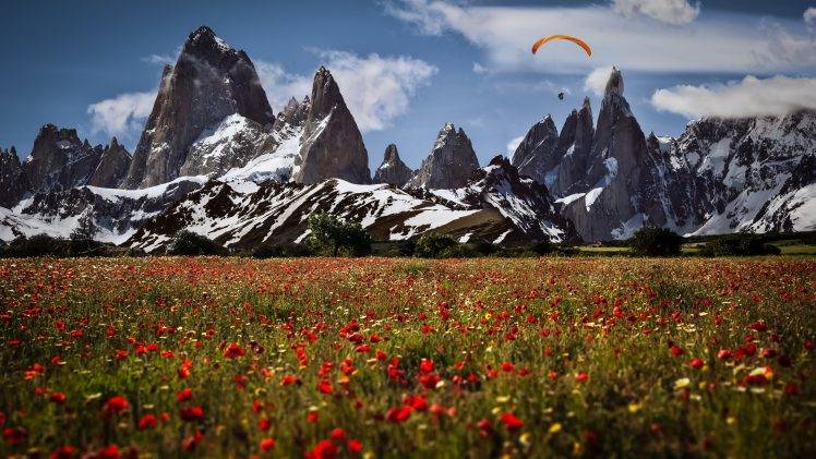nature, Landscape, Flowers, Mountains, Snow HD Wallpaper Desktop Background