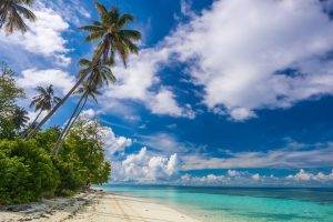 nature, Landscape, Photography, Tropical, Beach, Eden, White, Sand, Palm Trees, Island, Sea, Clouds, Summer, Malaysia
