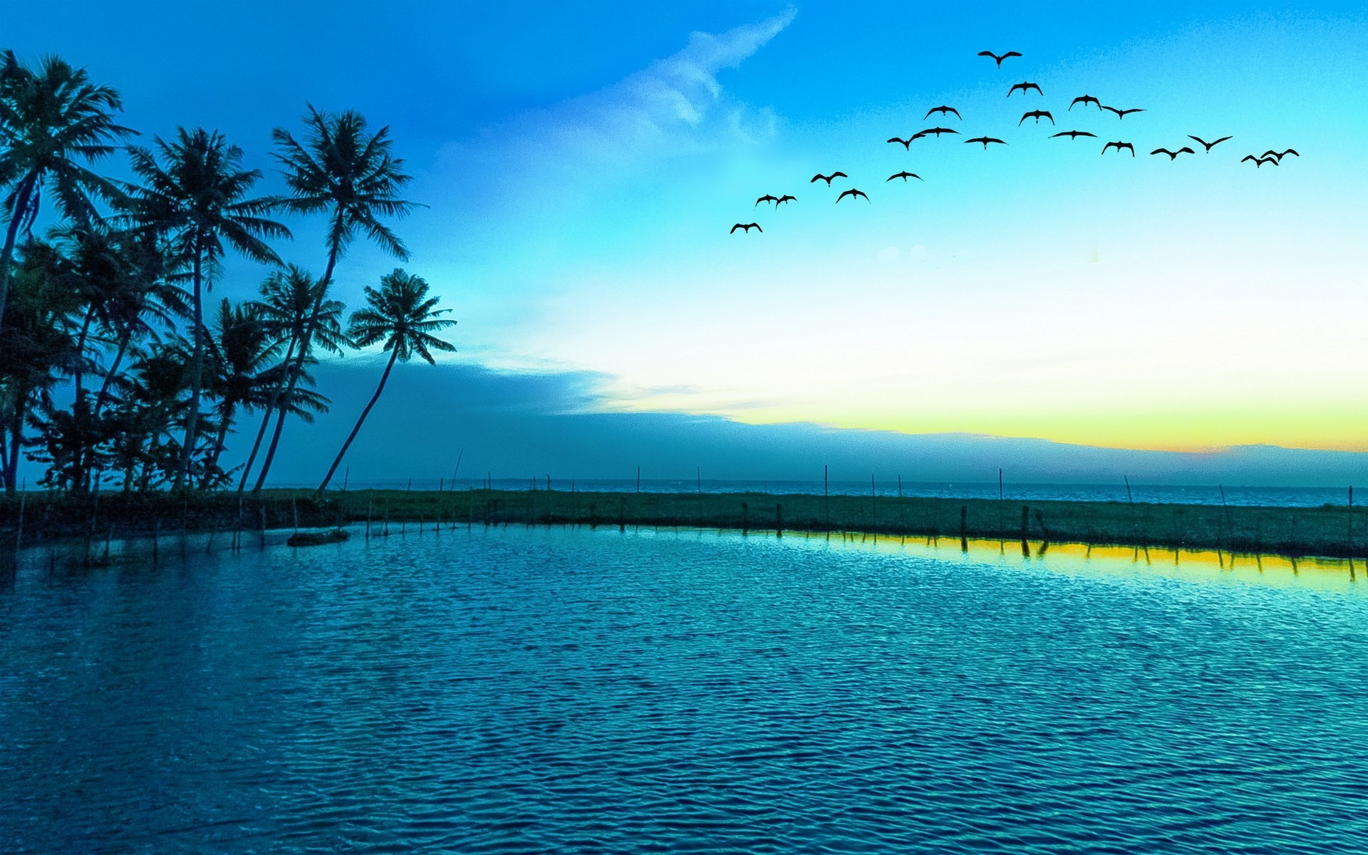 nature, Landscape, Birds, Flying, Sunrise, Blue, Lake, Palm Trees, Sea